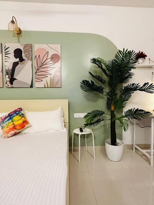 Sage : Private Studio Room In Koregaon Park 푸네 외부 사진